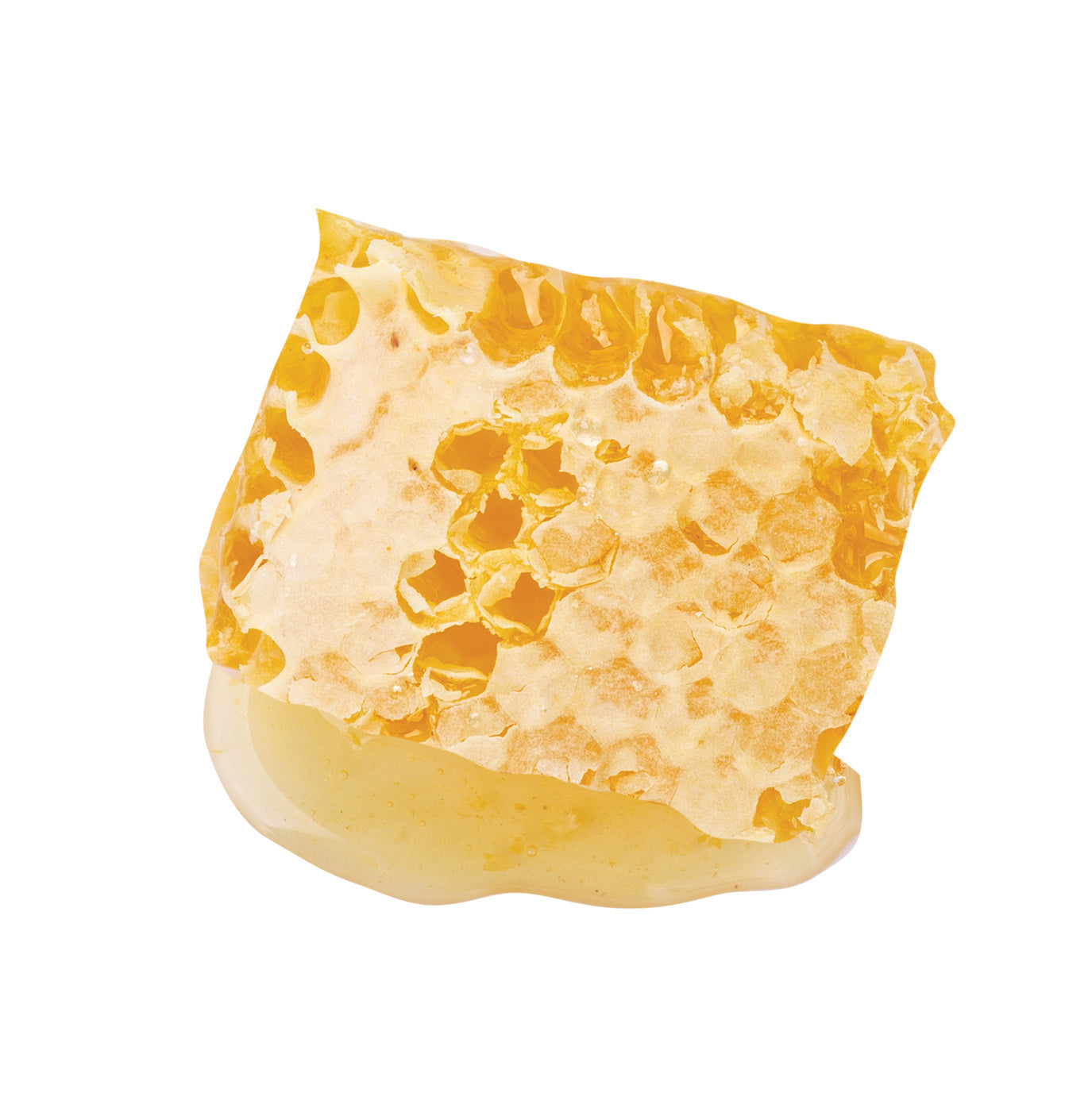 Honeycomb with beeswax and honey on a white background